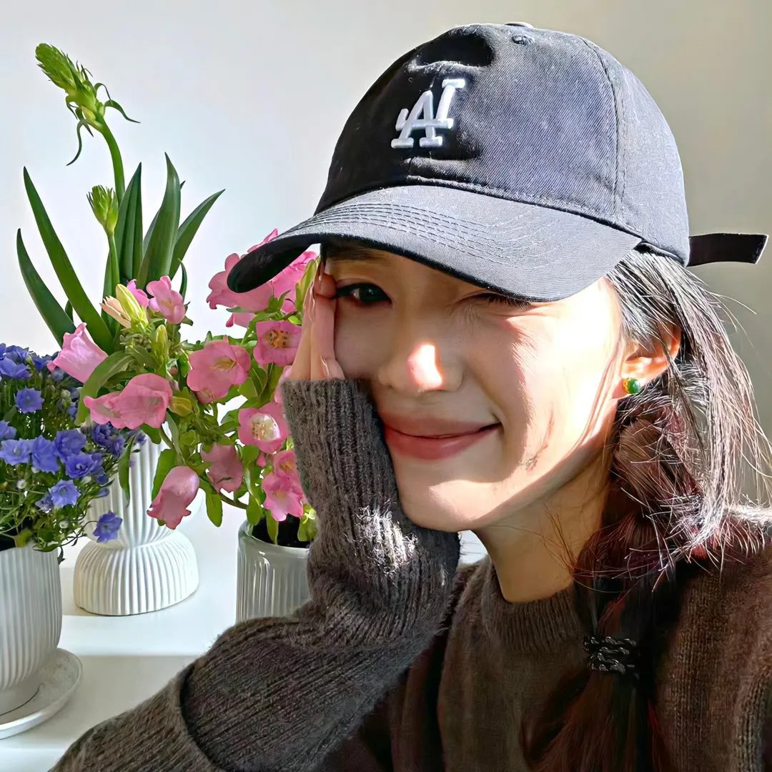雏菊